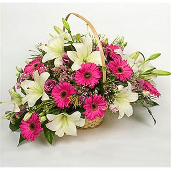 סל פרחים-אביב בורוד