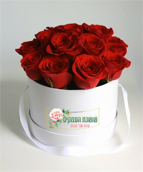 קופסאת פרחים-דגם ליזה