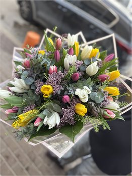 מיקס טוליפים