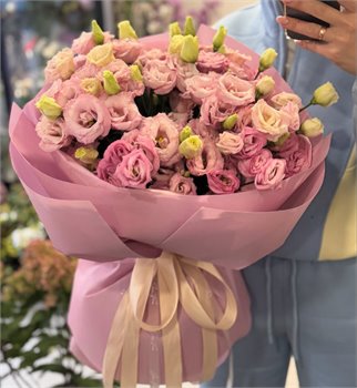 זר חלום בורוד