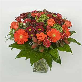 סודות באדום