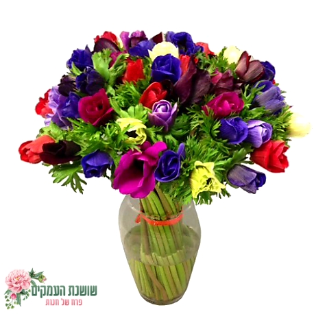 בוקט כלניות