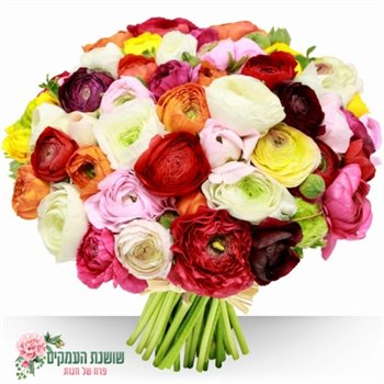 בוקט נוריות